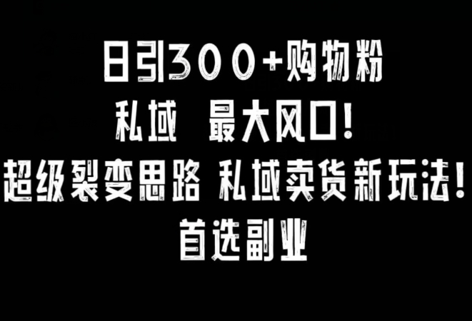 日引300+购物粉，超级裂变思路，私域卖货新玩法，小红书首选副业天亦网独家提供-天亦资源网