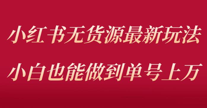 小红书无货源最新螺旋起号玩法，电商小白也能做到单号上万（价值3980元）天亦网独家提供-天亦资源网