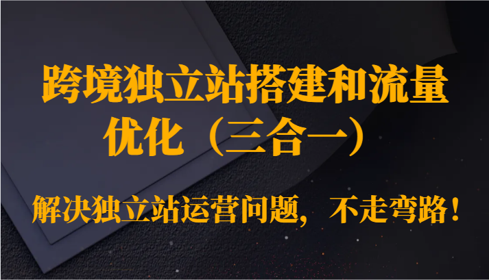 跨境独立站搭建和流量优化（三合一）解决独立站运营问题，不走弯路！天亦网独家提供-天亦资源网