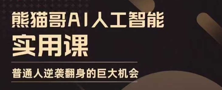 AI人工智能实用课，实在实用实战，普通人逆袭翻身的巨大机会天亦网独家提供-天亦资源网