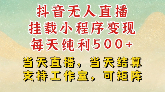 抖音无人直播挂载小程序变现每天纯利500+当天直播，当天结算支持工作室，可矩阵天亦网独家提供-天亦资源网