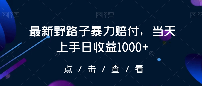 最新野路子暴力赔付，当天上手日收益1000+【仅揭秘】天亦网独家提供-天亦资源网