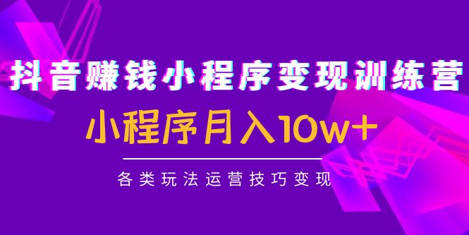 （4511期）抖音赚钱小程序变现训练营：小程序月入10w+各类玩法运营技巧变现天亦网独家提供-天亦资源网