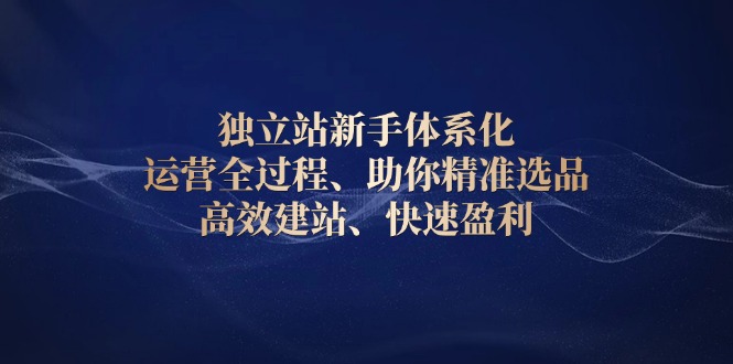 （13914期）独立站新手体系化 运营全过程，助你精准选品、高效建站、快速盈利天亦网独家提供-天亦资源网