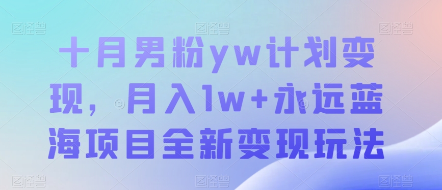 十月男粉yw计划变现，月入1w+永远蓝海项目全新变现玩法【揭秘】天亦网独家提供-天亦资源网