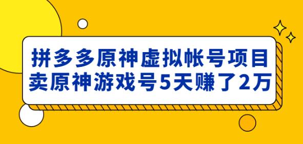 外面卖2980的拼多多原神虚拟帐号项目：卖原神游戏号5天赚了2万天亦网独家提供-天亦资源网