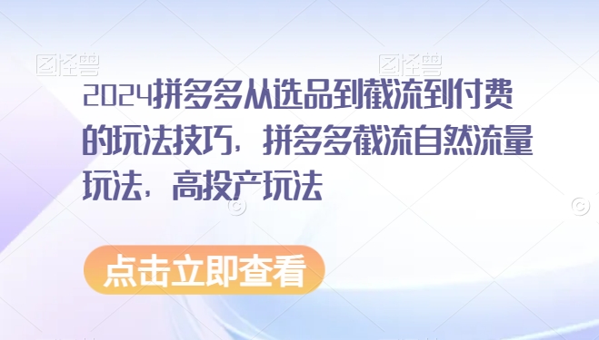 2024拼多多从选品到截流到付费的玩法技巧，拼多多截流自然流量玩法，高投产玩法天亦网独家提供-天亦资源网