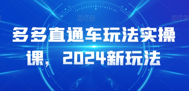 多多直通车玩法实操课，2024新玩法天亦网独家提供-天亦资源网