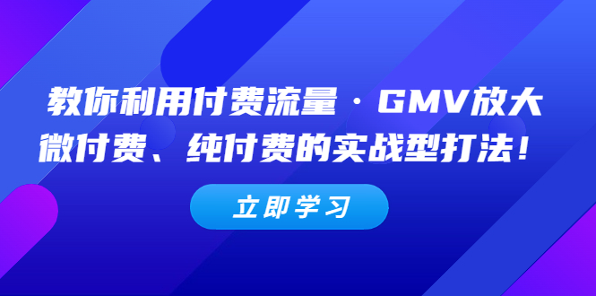 （5106期）教你利用付费流量·GMV放大，微付费、纯付费的实战型打法！天亦网独家提供-天亦资源网