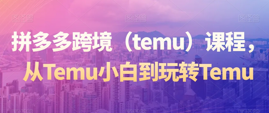 拼多多跨境（temu）课程，从Temu小白到玩转Temu天亦网独家提供-天亦资源网