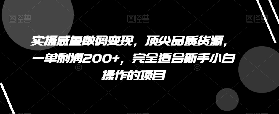 实操咸鱼数码变现，顶尖品质货源，一单利润200+，完全适合新手小白操作的项目【揭秘】天亦网独家提供-天亦资源网