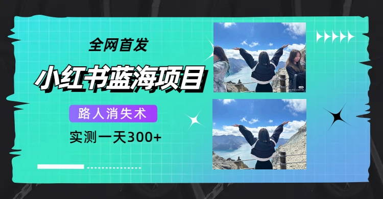 （7537期）全网首发，小红书蓝海项目，路人消失术，实测一天300+（教程+工具）天亦网独家提供-天亦资源网