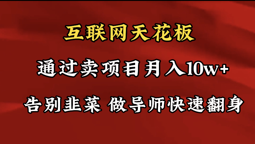 （9201期）导师训练营互联网的天花板，让你告别韭菜，通过卖项目月入10w+，一定要天亦网独家提供-天亦资源网