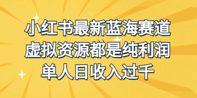 （6721期）外面收费1980的小红书最新蓝海赛道，虚拟资源都是纯利润，单人日收入过千天亦网独家提供-天亦资源网