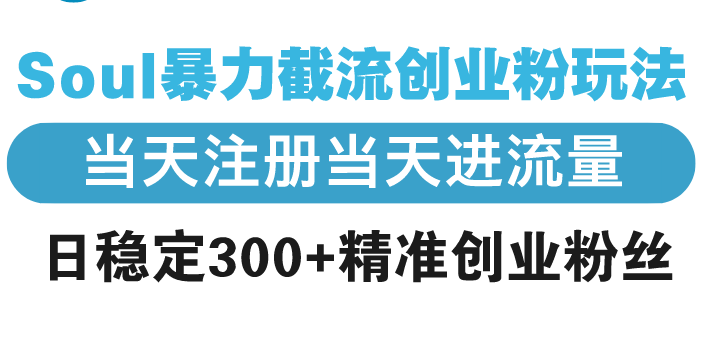 （13935期）Soul暴力截流创业粉玩法，当天注册当天进流量，日稳定300+精准创业粉丝天亦网独家提供-天亦资源网