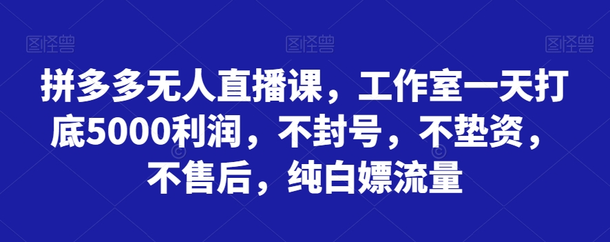 拼多多无人直播课，工作室一天打底5000利润，不封号，不垫资，不售后，纯白嫖流量天亦网独家提供-天亦资源网