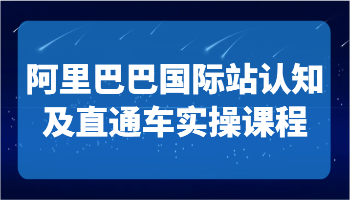 阿里巴巴国际站认知及直通车实操课-国际地产逻辑、国际站运营定位、TOP商家运营思路天亦网独家提供-天亦资源网