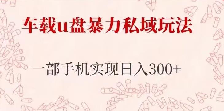 车载u盘暴力私域玩法，长期项目，仅需一部手机实现日入300+天亦网独家提供-天亦资源网