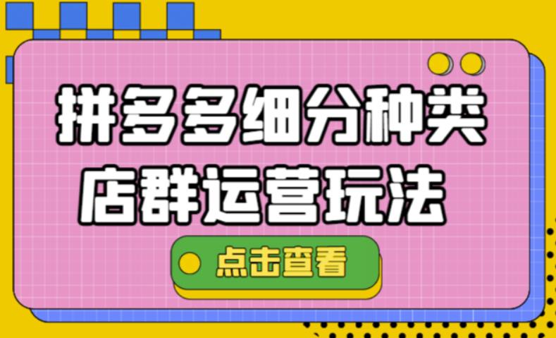 （4373期）拼多多细分种类店群运营玩法3.0，11月最新玩法，小白也可以操作天亦网独家提供-天亦资源网