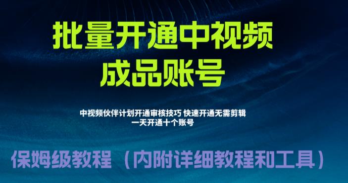 [新自媒体]外面收费1980暴力开通中视频计划教程，附 快速通过中视频伙伴计划的办法天亦网独家提供-天亦资源网