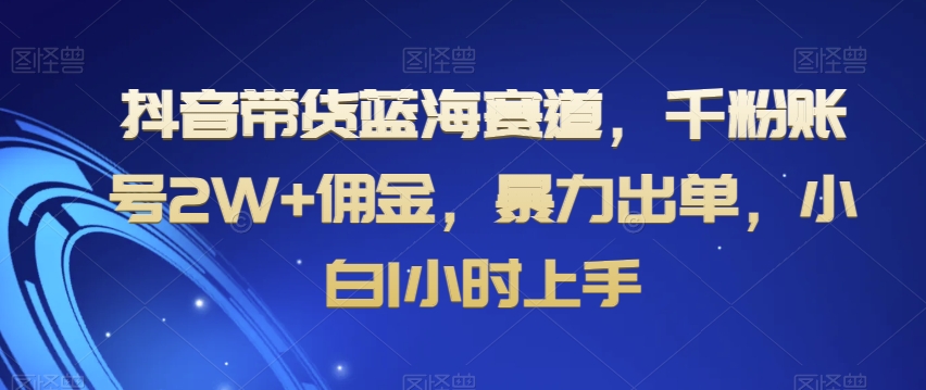 抖音带货蓝海赛道，千粉账号2W+佣金，暴力出单，小白1小时上手【揭秘】天亦网独家提供-天亦资源网