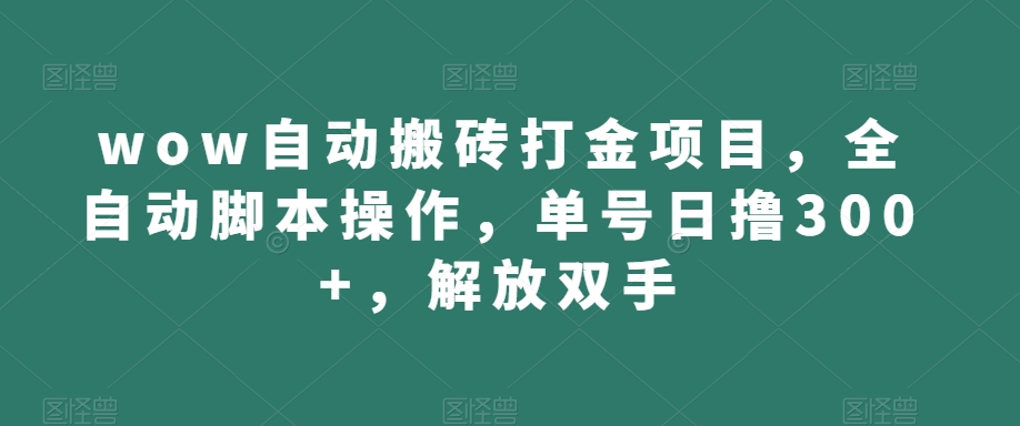 wow自动搬砖打金项目，全自动脚本操作，单号日撸300+，解放双手【揭秘】天亦网独家提供-天亦资源网