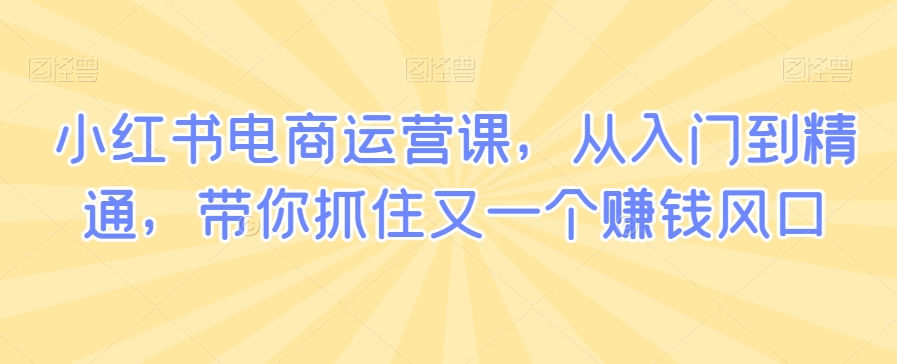 小红书电商运营课，从入门到精通，带你抓住又一个赚钱风口天亦网独家提供-天亦资源网