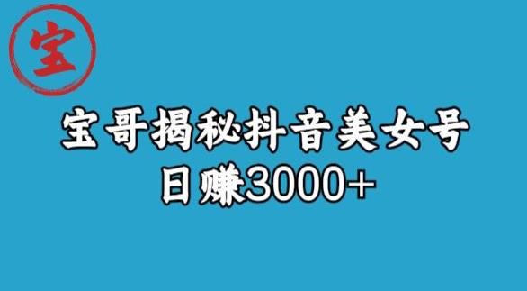 宝哥揭秘抖音美女号玩法，日赚3000+【揭秘】天亦网独家提供-天亦资源网