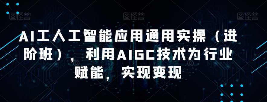 AI工人工智能应用通用实操（进阶班），利用AIGC技术为行业赋能，实现变现天亦网独家提供-天亦资源网