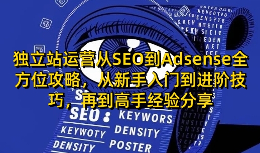 独立站运营从SEO到Adsense全方位攻略，从新手入门到进阶技巧，再到高手经验分享天亦网独家提供-天亦资源网