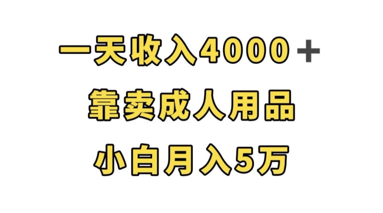 一天收入4000+，靠卖成人用品，小白轻松月入5万【揭秘】天亦网独家提供-天亦资源网