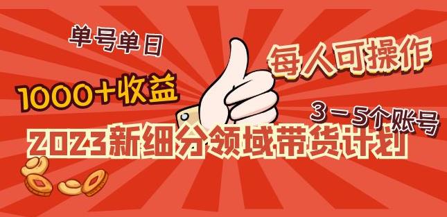 2023新细分领域带货计划：单号单日1000+收益不难，每人可操作3-5个账号天亦网独家提供-天亦资源网