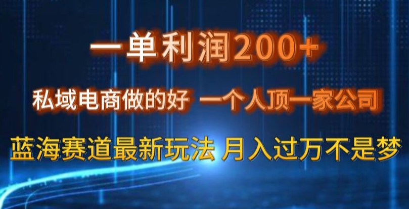 一单利润200私域电商做的好，一个人顶一家公司蓝海赛道最新玩法【揭秘】天亦网独家提供-天亦资源网