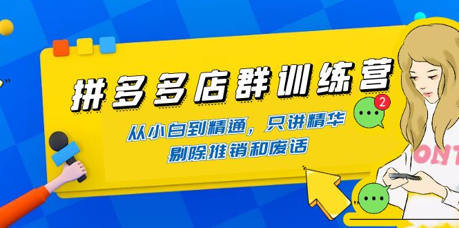 （4318期）拼多多店群训练营：从小白到精通，只讲精华，剔除推销和废话天亦网独家提供-天亦资源网