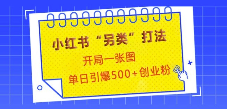 小红书“另类”打法，开局一张图，单日引爆500+精准创业粉天亦网独家提供-天亦资源网