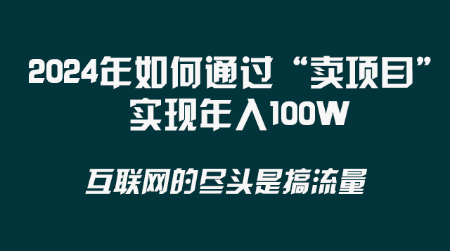 2024年如何通过“卖项目”实现年入100W天亦网独家提供-天亦资源网