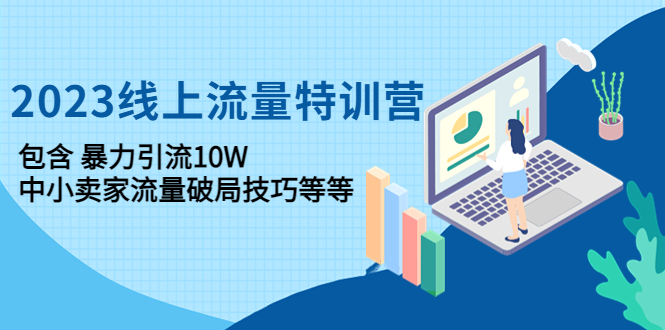 （4567期）2023线上流量特训营：包含暴力引流10W+中小卖家流量破局技巧等等天亦网独家提供-天亦资源网