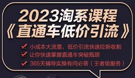 2023直通车低价引流玩法课程，小成本大流量，低价引流快速拉新收割，让你快速掌握直通车突破瓶颈天亦网独家提供-天亦资源网