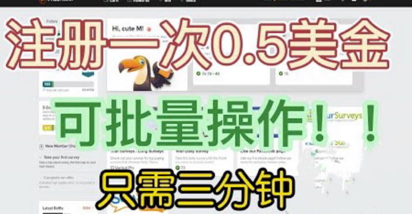 国外项目注册一次0.5美金，只需三分钟无脑操作，可批量同时放大操作，小白工作室福利【揭秘】天亦网独家提供-天亦资源网