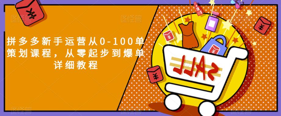 拼多多新手运营从0-100单策划课程，从零起步到爆单详细教程天亦网独家提供-天亦资源网