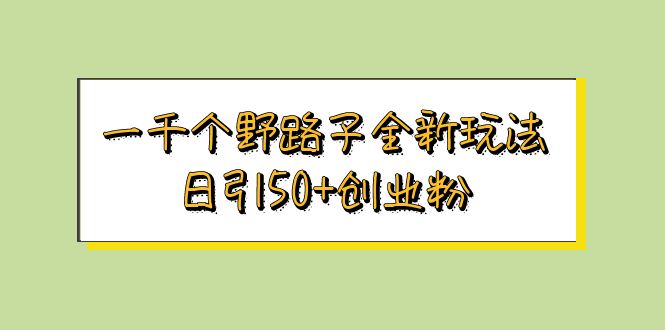 （5960期）一千个野路子全新玩法 日引50+创业粉天亦网独家提供-天亦资源网