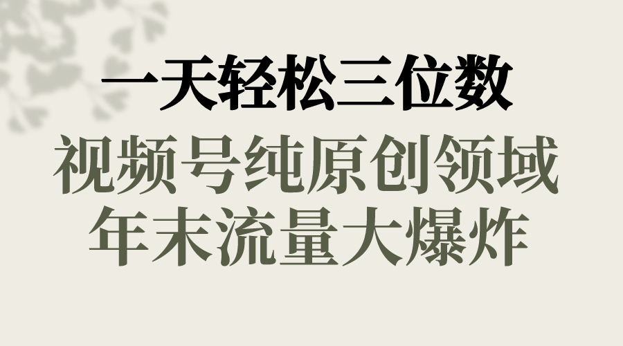 （8647期）一天轻松三位数，视频号纯原创领域，春节童子送祝福，年末流量大爆炸，天亦网独家提供-天亦资源网