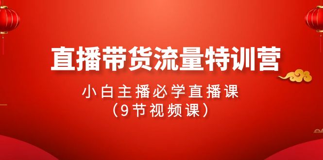 2024直播带货流量特训营，小白主播必学直播课（9节视频课）天亦网独家提供-天亦资源网