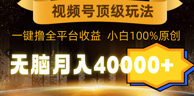 （9281期）视频号顶级玩法，无脑月入40000+，一键撸全平台收益，纯小白也能100%原创天亦网独家提供-天亦资源网