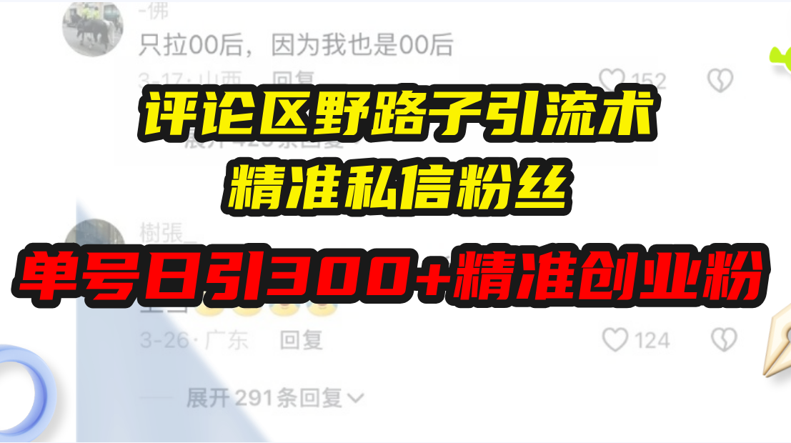 （13676期）评论区野路子引流术，精准私信粉丝，单号日引流300+精准创业粉天亦网独家提供-天亦资源网