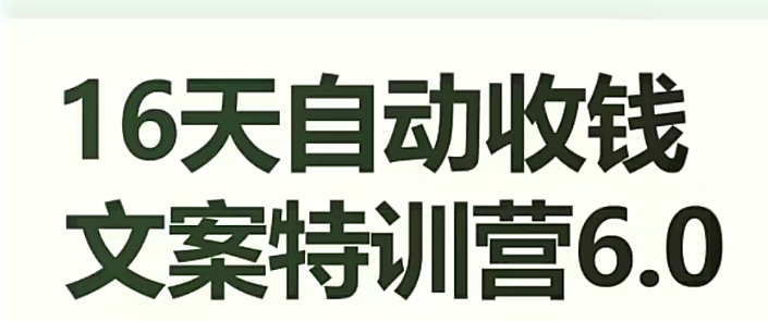 16天自动收钱文案特训营6.0，学会儿每天自动咔咔收钱天亦网独家提供-天亦资源网