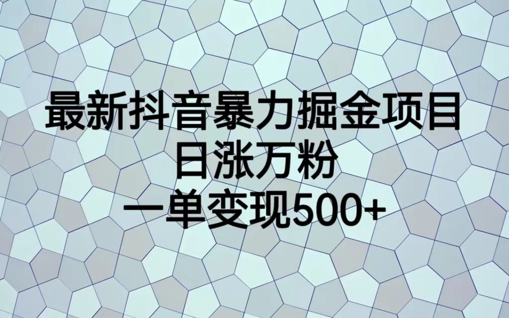 最新抖音暴力掘金项目，日涨万粉，一单变现500+天亦网独家提供-天亦资源网