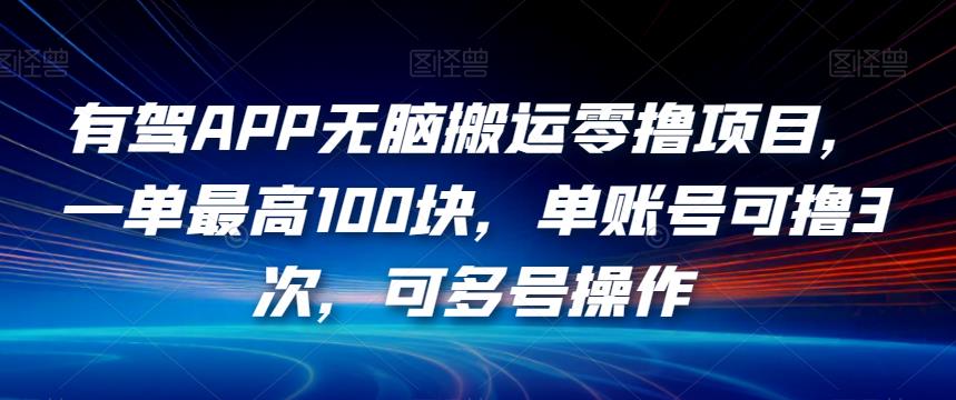 有驾APP无脑搬运零撸项目，一单最高100块，单账号可撸3次，可多号操作【揭秘】天亦网独家提供-天亦资源网