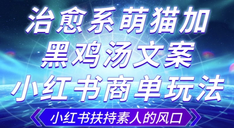 治愈系萌猫加+黑鸡汤文案，小红书商单玩法，3~10天涨到1000粉，一单200左右天亦网独家提供-天亦资源网