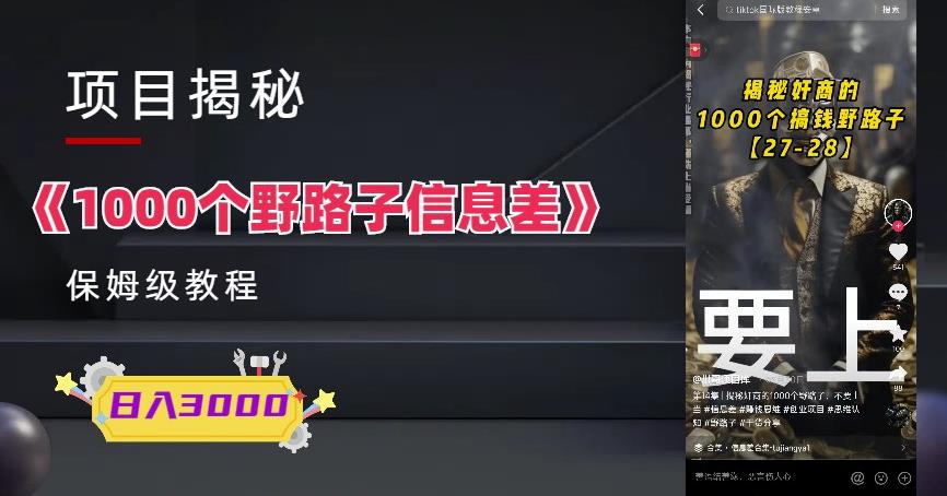 1000个野路子信息差保姆式教程-单日变现3000+的玩法解密天亦网独家提供-天亦资源网